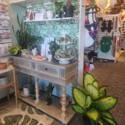 Cermak Plaza - Berwyn