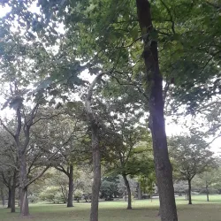 Proksa Park - Berwyn