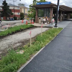 The Berwyn Arts Council - Berwyn