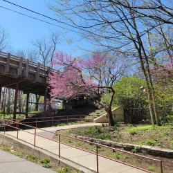 Constitution Trail - Bloomington