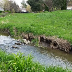 Constitution Trail - Bloomington