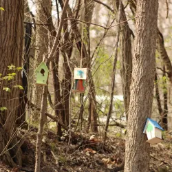 Constitution Trail - Bloomington