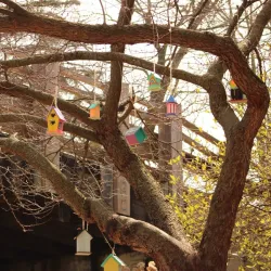 Constitution Trail - Bloomington