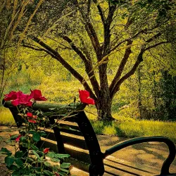 Constitution Trail - Bloomington