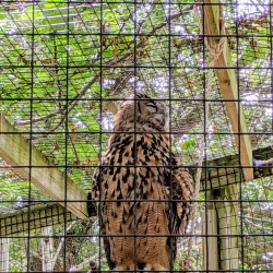 Miller Park Zoo - Bloomington