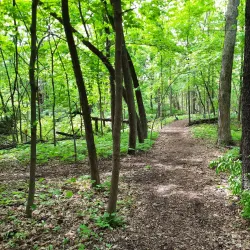 Clow Creek Forest Preserve - Bolingbrook