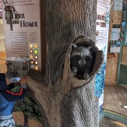 Clow Creek Forest Preserve - Bolingbrook