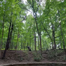 Clow Creek Forest Preserve - Bolingbrook
