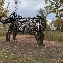 Clow Creek Forest Preserve - Bolingbrook