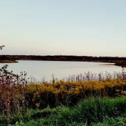 Clow Creek Forest Preserve - Bolingbrook