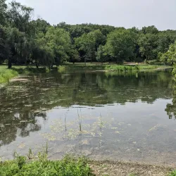 Clow Creek Forest Preserve - Bolingbrook