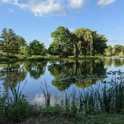 Clow Creek Forest Preserve - Bolingbrook