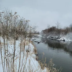 Clow Creek Forest Preserve - Bolingbrook