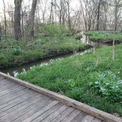 Romeoville Prairie Nature Preserve - Bolingbrook