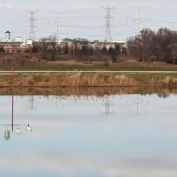 Romeoville Prairie Nature Preserve - Bolingbrook