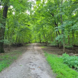 Romeoville Prairie Nature Preserve - Bolingbrook