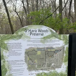 Romeoville Prairie Nature Preserve - Bolingbrook