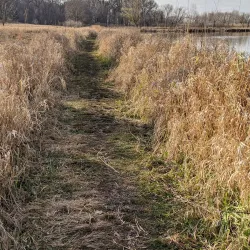 Romeoville Prairie Nature Preserve - Bolingbrook
