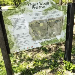 Romeoville Prairie Nature Preserve - Bolingbrook