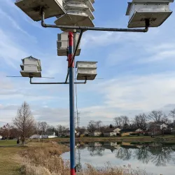 Romeoville Prairie Nature Preserve - Bolingbrook