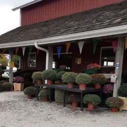 Bourbonnais Farmers Market - Bourbonnais
