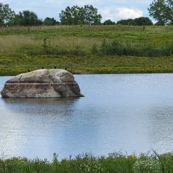 Buffalo Creek Forest Preserve - Buffalo Grove