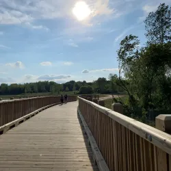 Buffalo Creek Forest Preserve - Buffalo Grove
