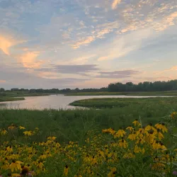 Buffalo Creek Forest Preserve - Buffalo Grove