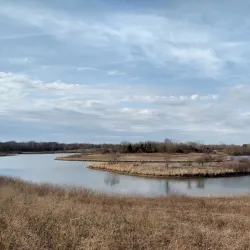 Buffalo Creek Forest Preserve - Buffalo Grove