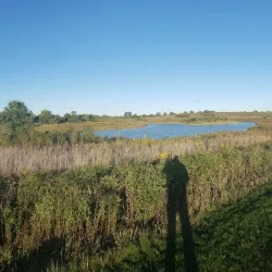Buffalo Creek Forest Preserve - Buffalo Grove