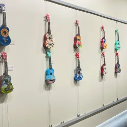 Buffalo Grove Community Center - Buffalo Grove