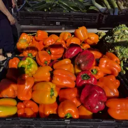 Buffalo Grove Farmers Market - Buffalo Grove