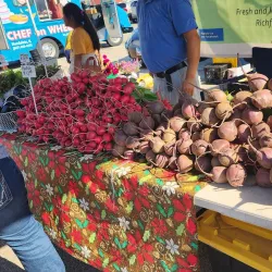 Buffalo Grove Farmers Market - Buffalo Grove