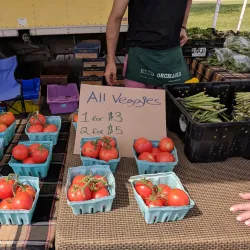 Buffalo Grove Farmers Market - Buffalo Grove