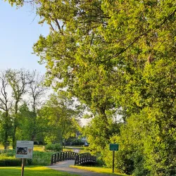 Buffalo Grove Golf Course - Buffalo Grove