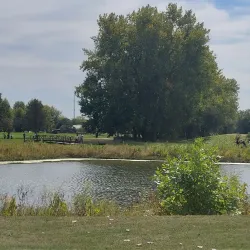 Buffalo Grove Golf Course - Buffalo Grove