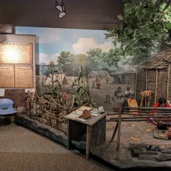 Buffalo Grove Historical Society - Buffalo Grove