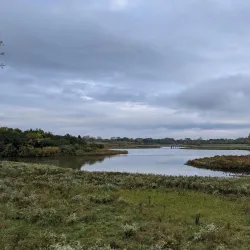 Buffalo Grove Nature Preserve - Buffalo Grove