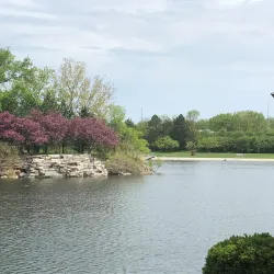 Twin Lakes Park - Buffalo Grove