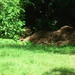 Bunker Hill Golf Course - Bunker Hill