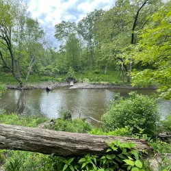 Bunker Hill Nature Trail - Bunker Hill