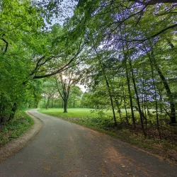 Bunker Hill Nature Trail - Bunker Hill