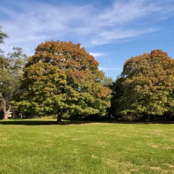 Bunker Hill Nature Trail - Bunker Hill