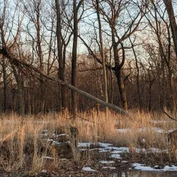 Bunker Hill Nature Trail - Bunker Hill