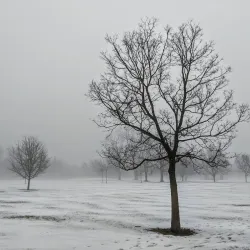 Bunker Hill Nature Trail - Bunker Hill