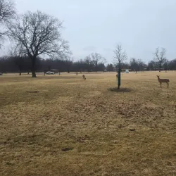 Bunker Hill Nature Trail - Bunker Hill