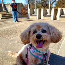 Bunker Hill Veterans Memorial - Bunker Hill