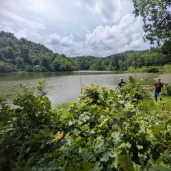 Cedar Lake - Carbondale