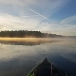 Cedar Lake - Carbondale