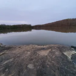 Cedar Lake - Carbondale